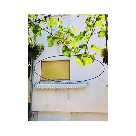 Apartman Stana 3 Brist
